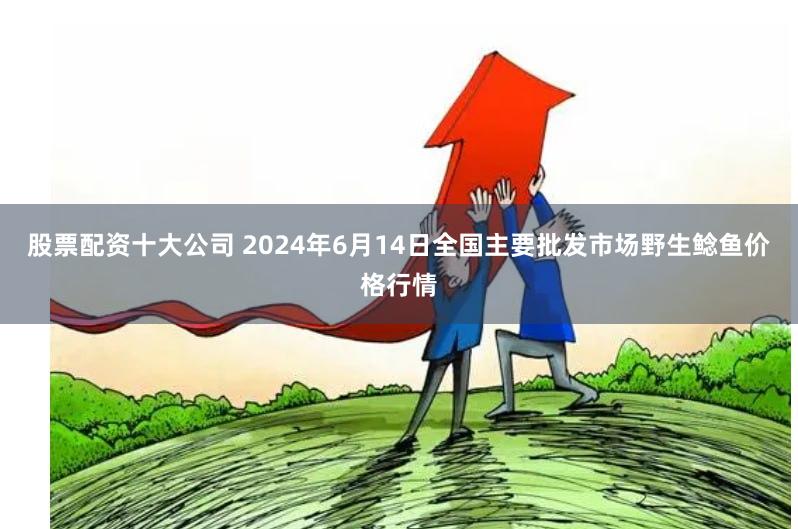 股票配资十大公司 2024年6月14日全国主要批发市场野生鲶鱼价格行情